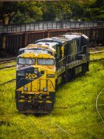 MRSL 3933
